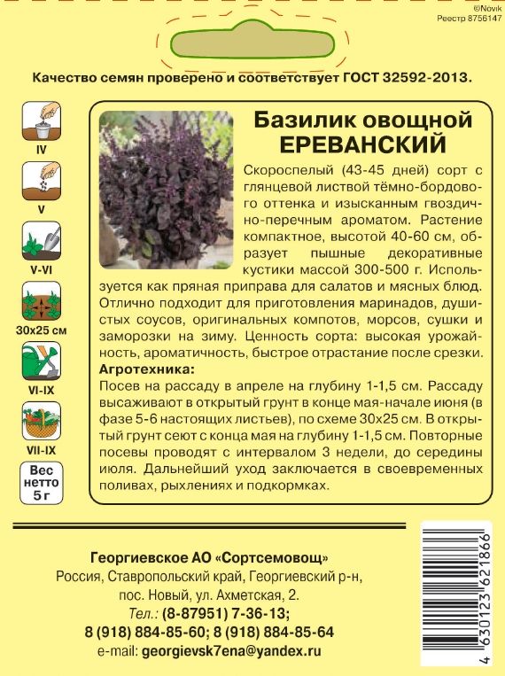Базилик овощной ЕРЕВАНСКИЙ_2.jpg