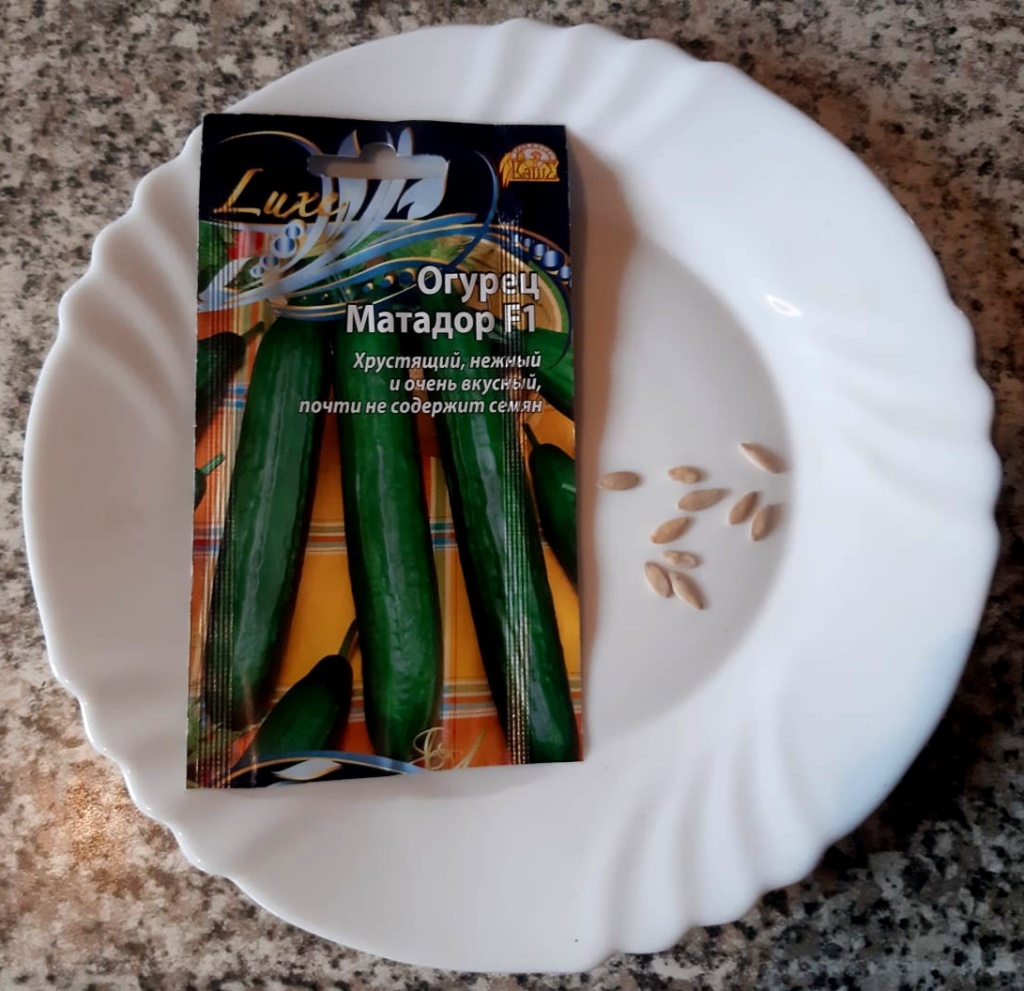 IMG-20241031-WA0015.jpg IMG-20241031-WA0015.jpg