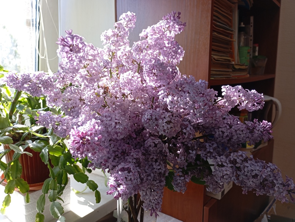 1772700056610.jpg 1772700056610.jpg