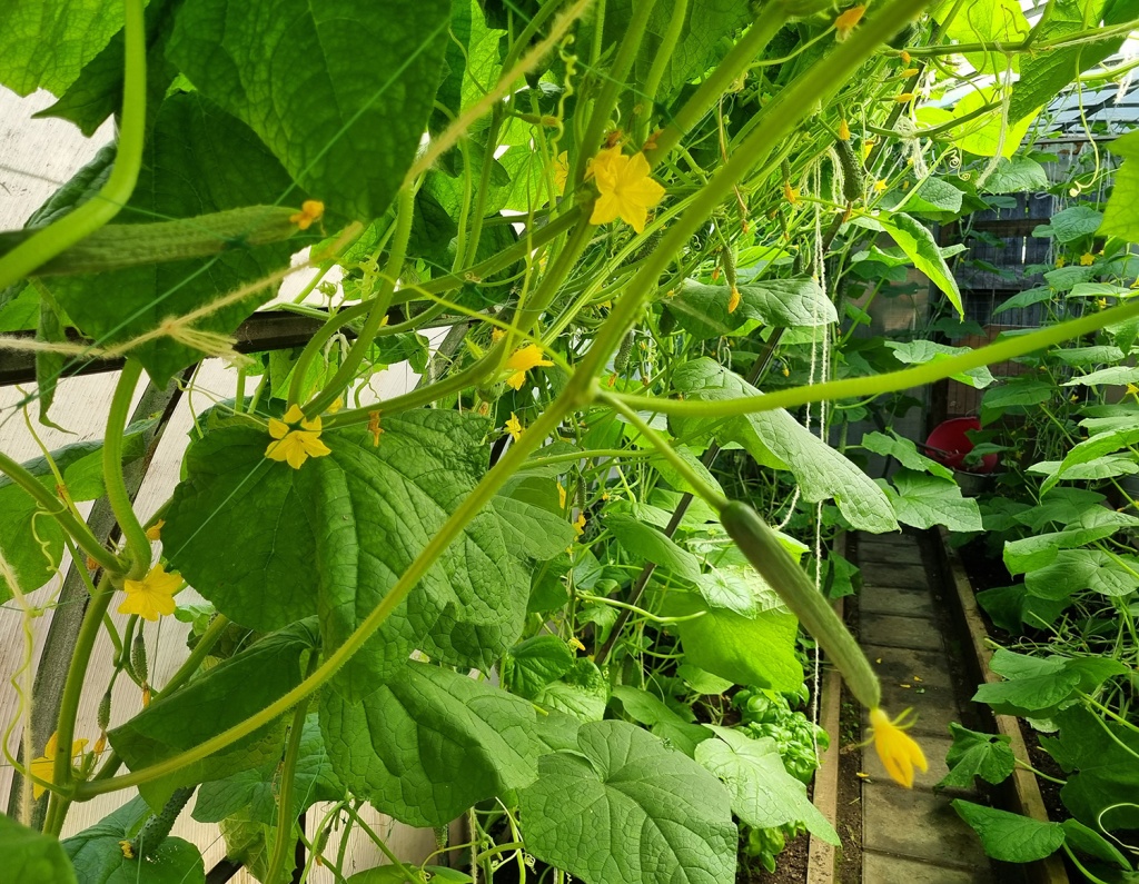 20240714_111648.jpg 20240714_111648.jpg