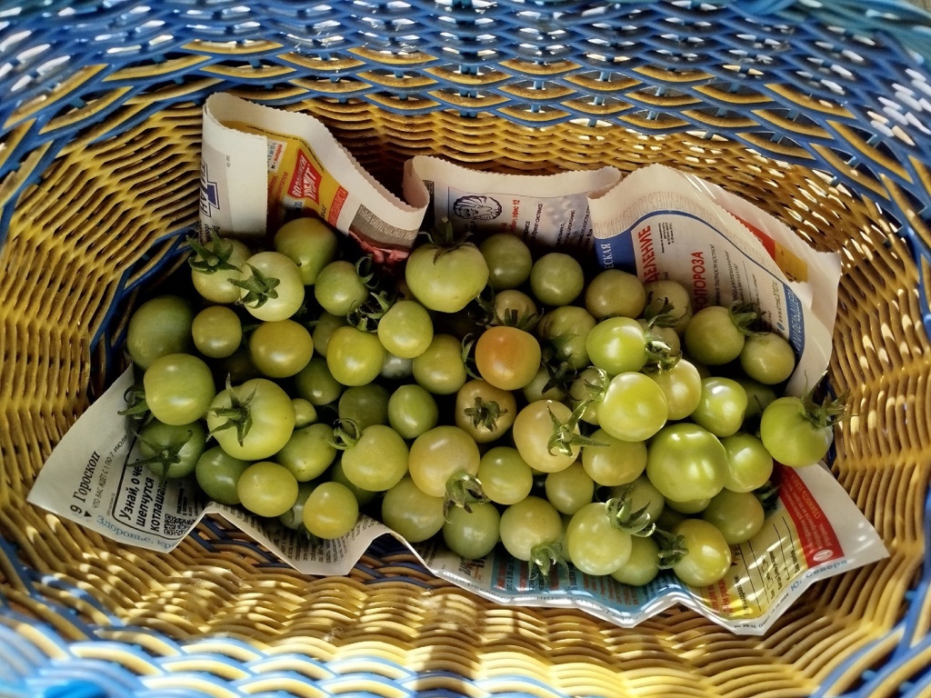 5RRlhUoaJFQ.jpg 5RRlhUoaJFQ.jpg