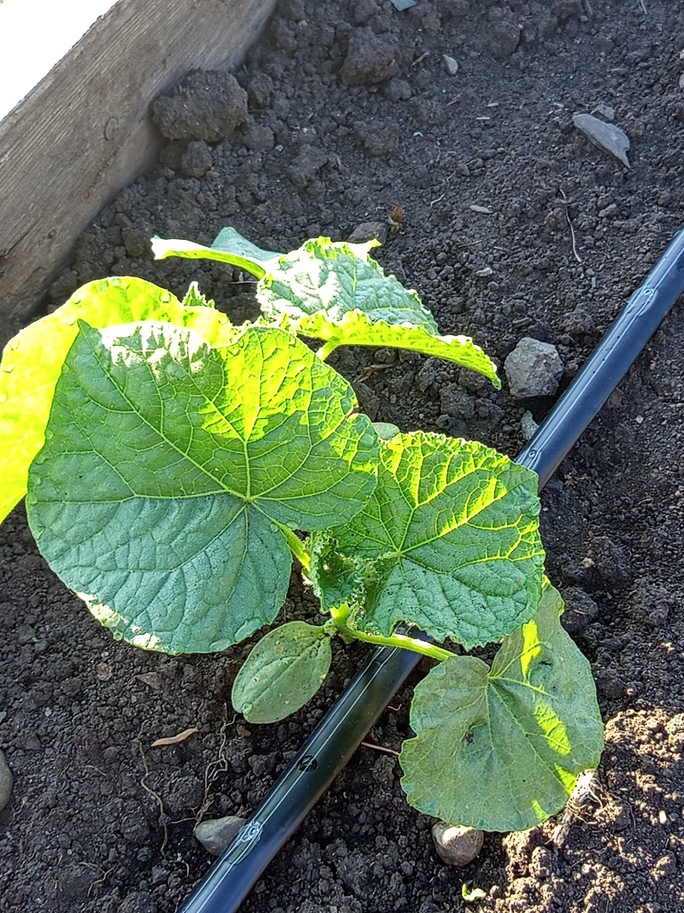 Начало сезона.jpg Начало сезона.jpg