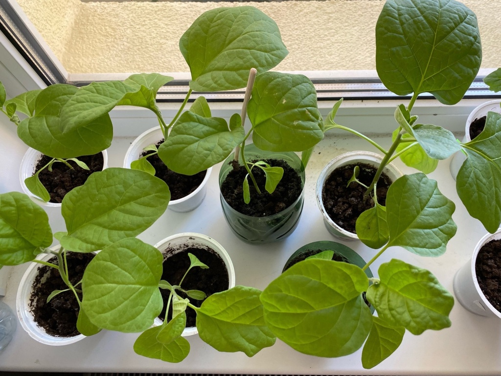 F6O97HyNOjk.jpg F6O97HyNOjk.jpg