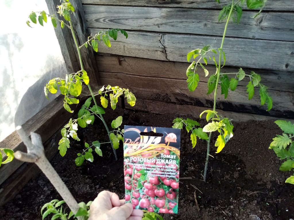 ZlBf5iE8pPc.jpg ZlBf5iE8pPc.jpg