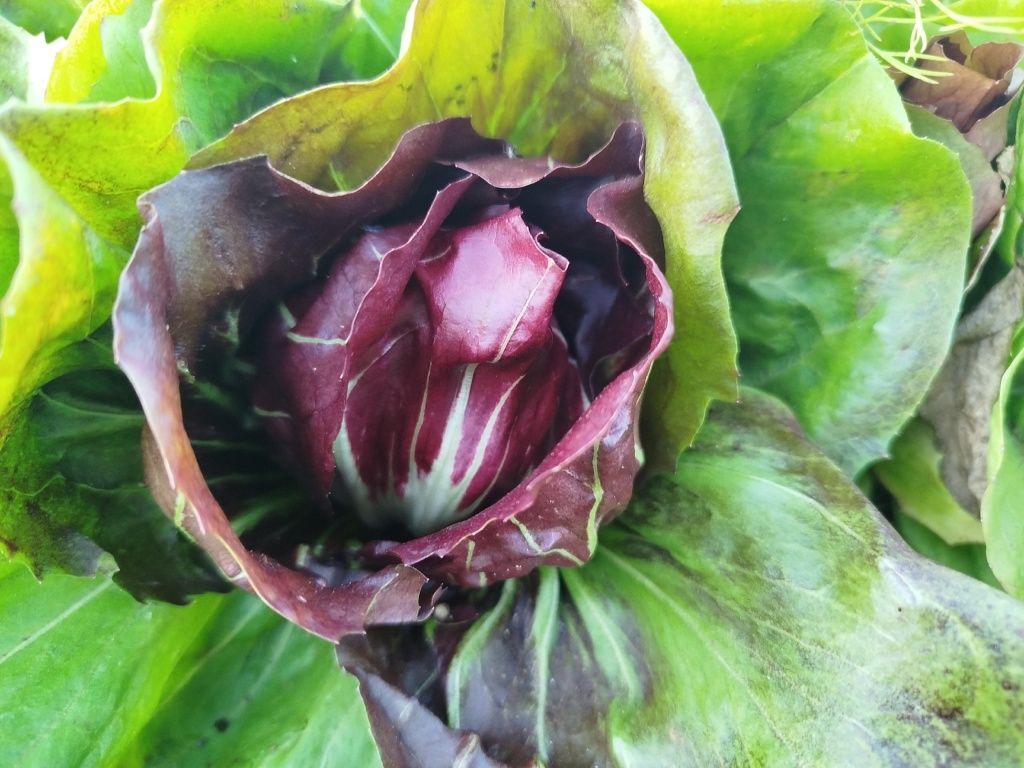 fe5mNIRg8gQ.jpg fe5mNIRg8gQ.jpg