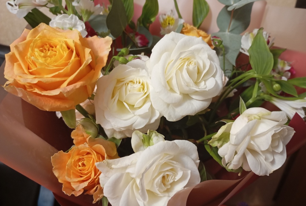 1772700168980.jpg 1772700168980.jpg