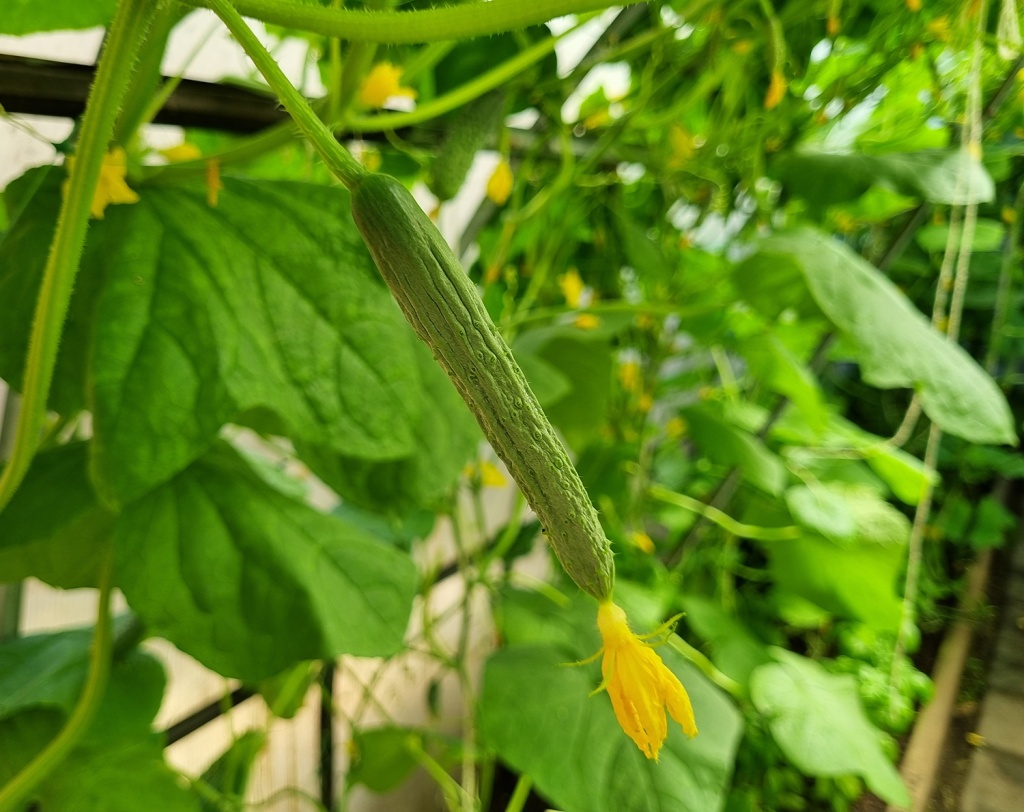 20240714_111709.jpg 20240714_111709.jpg