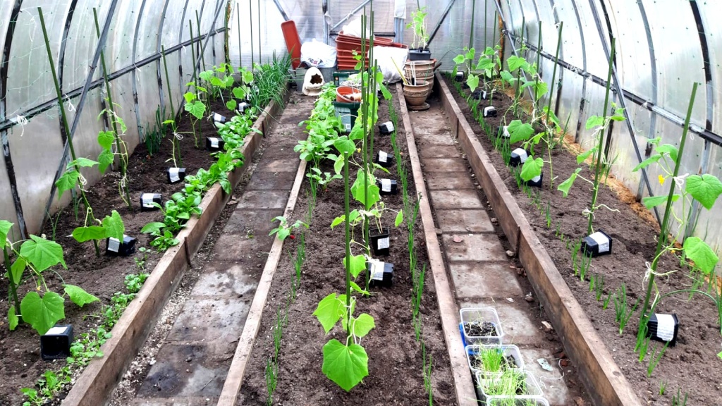 IMG-20241029-WA0031.jpg IMG-20241029-WA0031.jpg