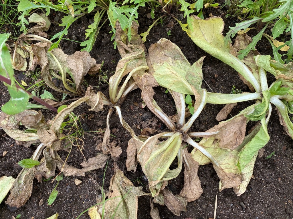 qFScvSUlNp0.jpg qFScvSUlNp0.jpg