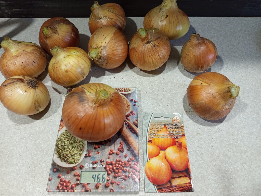 IMG_20250921_175902.jpg IMG_20250921_175902.jpg