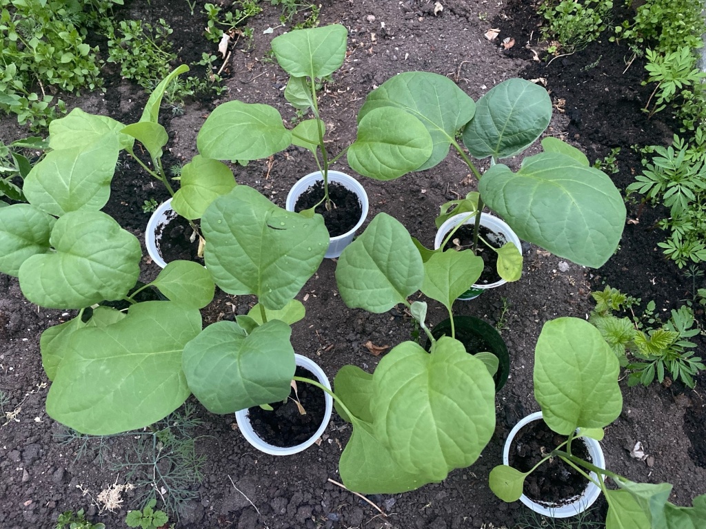 fIfAtAzYDiE.jpg fIfAtAzYDiE.jpg