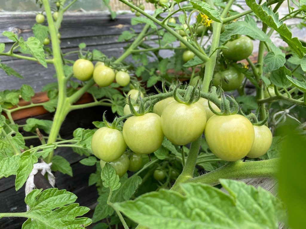 rgBiqoG1w1U.jpg rgBiqoG1w1U.jpg