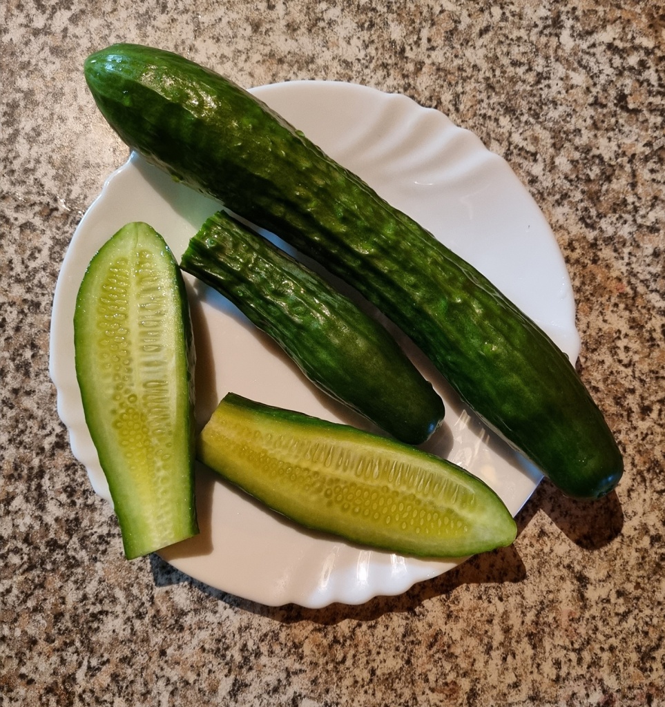 20240719_212937.jpg 20240719_212937.jpg