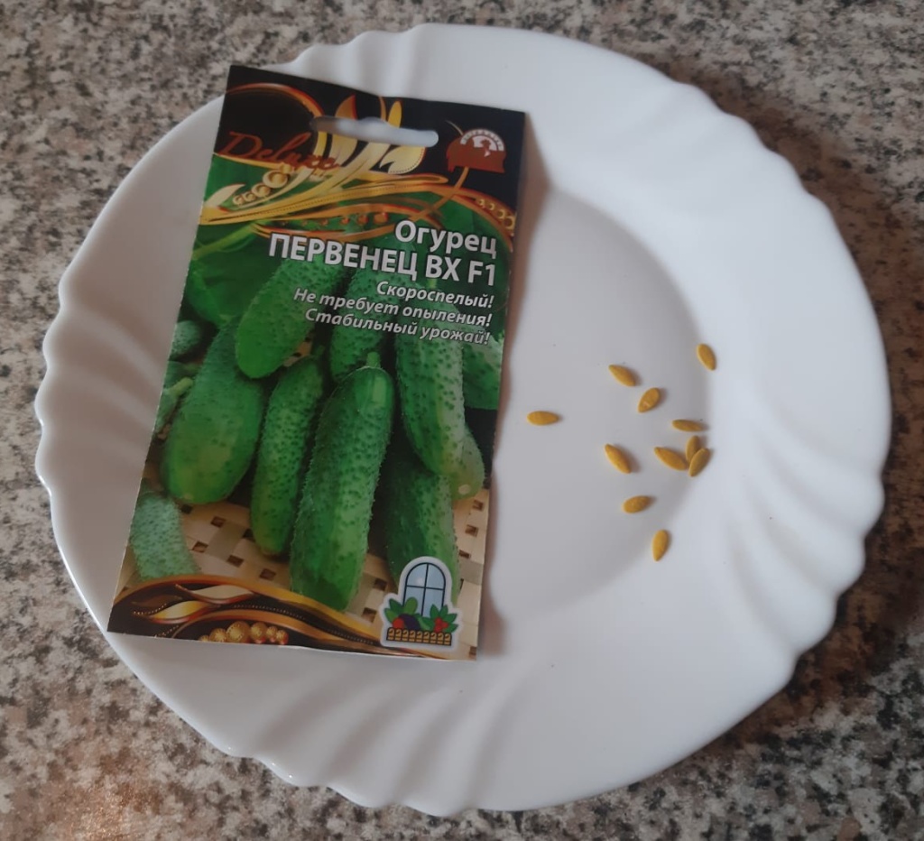 IMG-20241031-WA0016.jpg IMG-20241031-WA0016.jpg