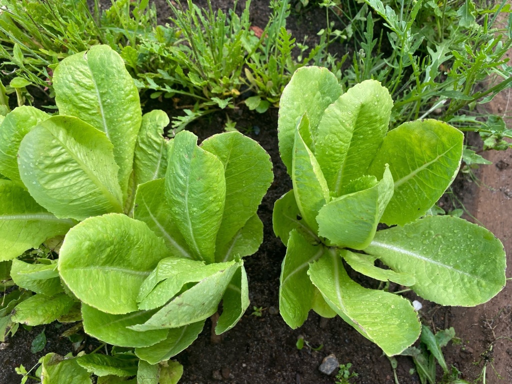 v7abr0yfOWQ.jpg v7abr0yfOWQ.jpg