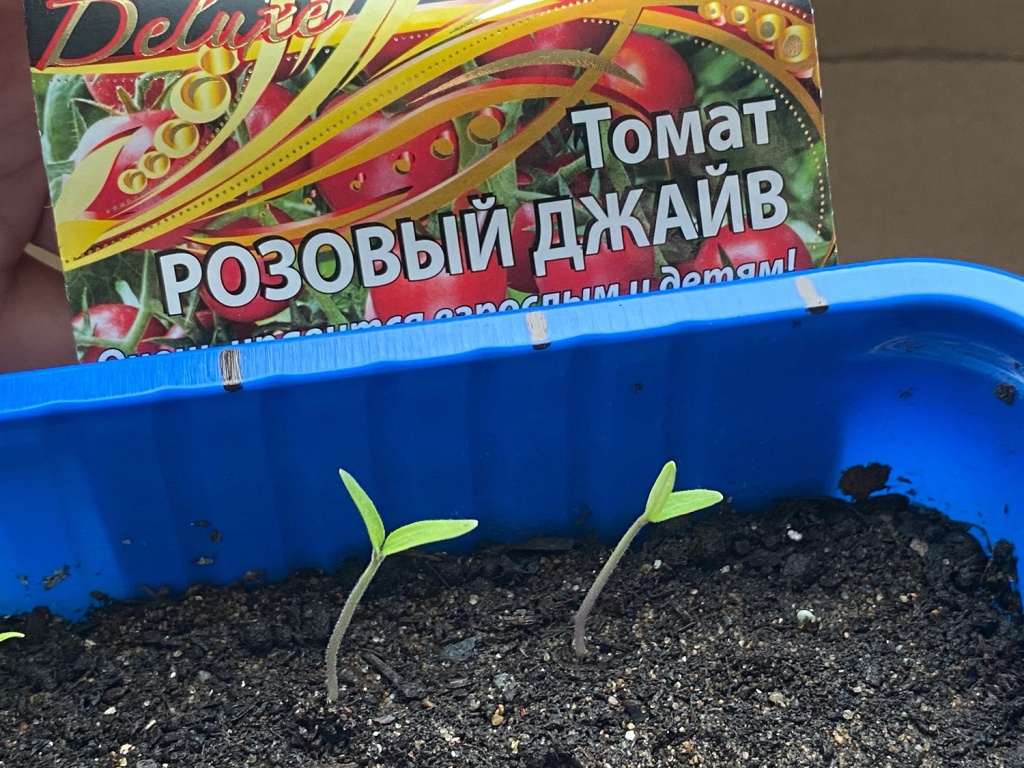 YWo3hbjhsVg.jpg YWo3hbjhsVg.jpg