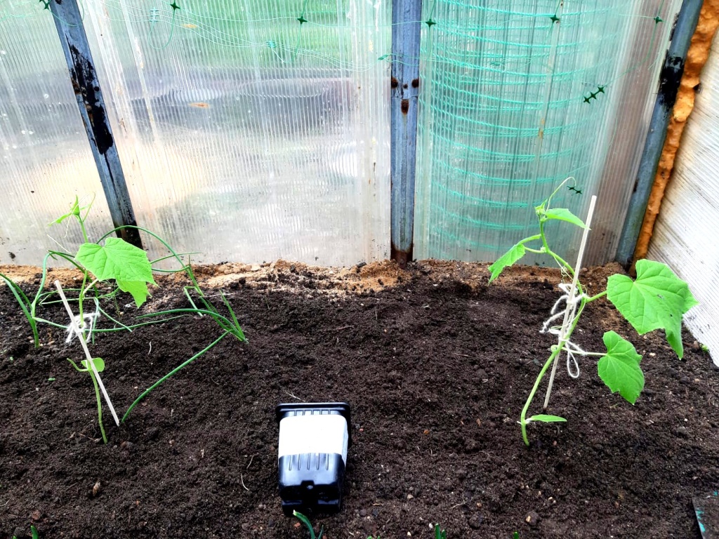 IMG-20241029-WA0022.jpg IMG-20241029-WA0022.jpg