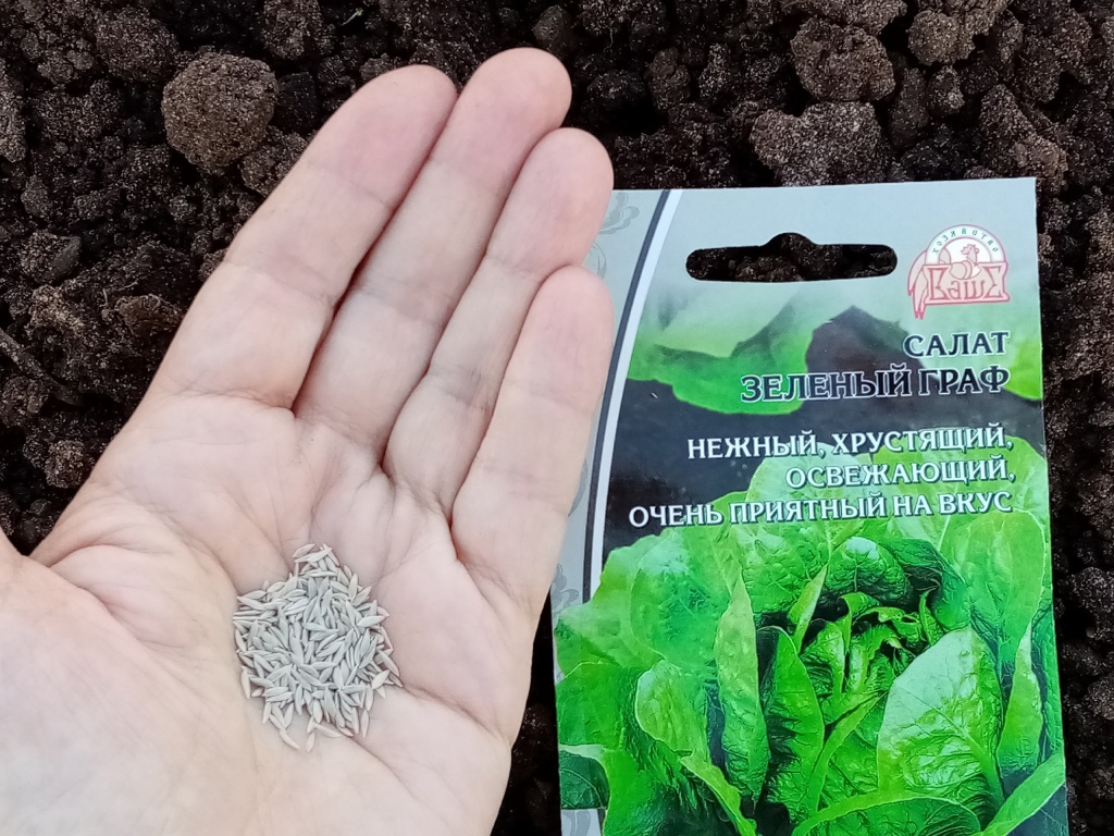 GPNPlZY4JQI.jpg GPNPlZY4JQI.jpg