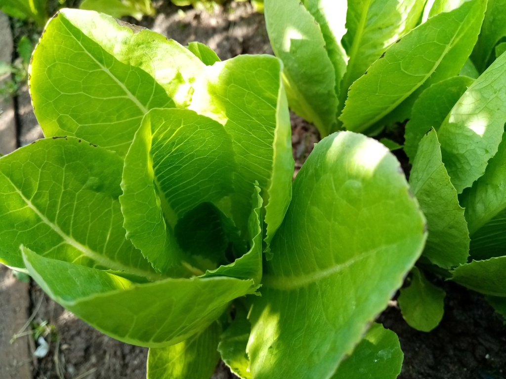 xmiXhtmq28A.jpg xmiXhtmq28A.jpg