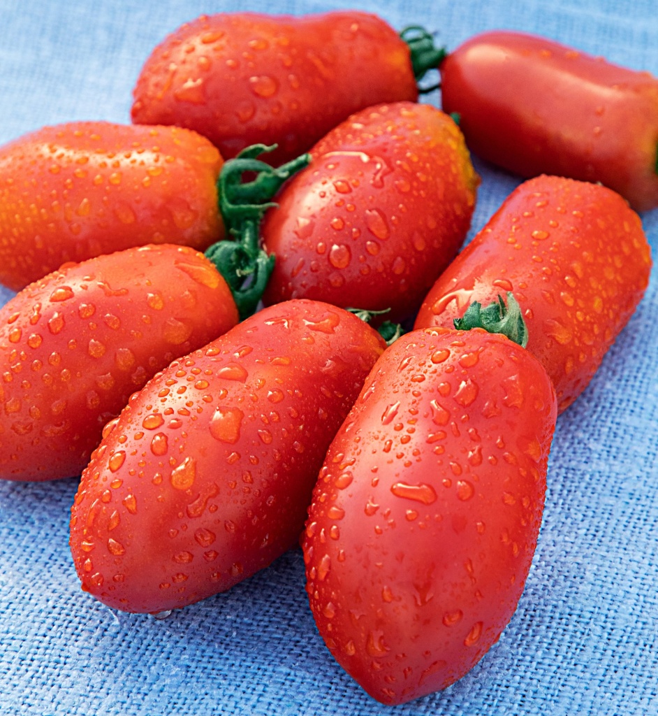 photo_20180828_ovoshi_tomat_kubyshka_.jpg photo_20180828_ovoshi_tomat_kubyshka_.jpg