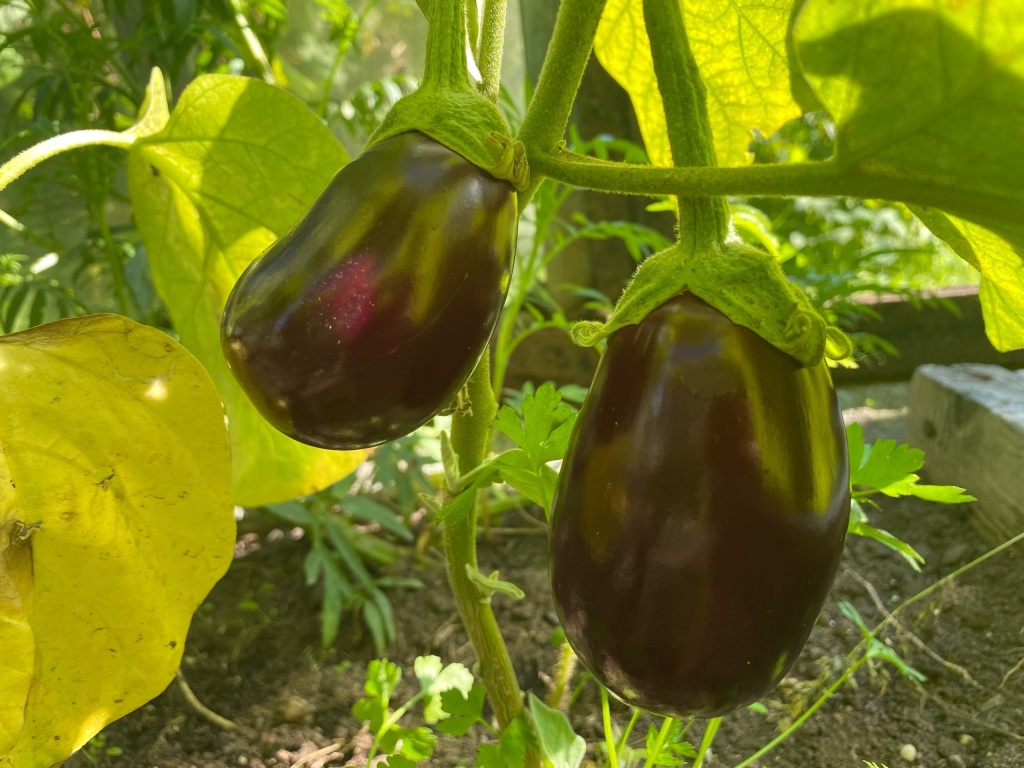 xE1kaTA36kk.jpg xE1kaTA36kk.jpg