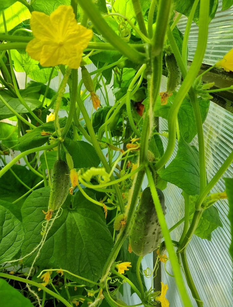 20240714_111359.jpg 20240714_111359.jpg