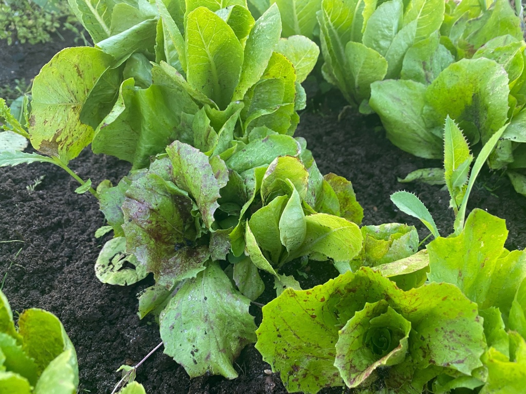 XBQvBsby4dk.jpg XBQvBsby4dk.jpg