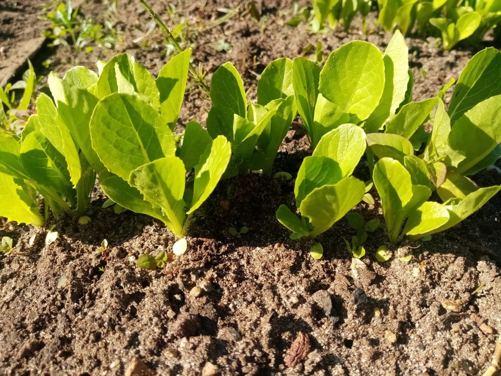 mLB3VUYLDgU.jpg mLB3VUYLDgU.jpg