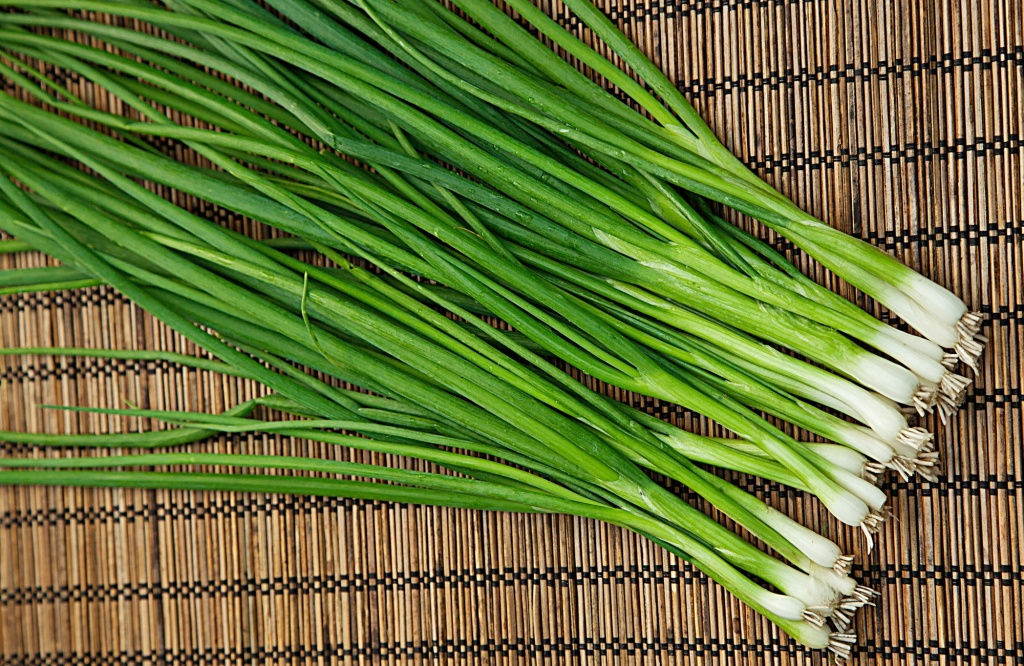 photo_20150710_ovoshi_luk_batun_aprelskii_.jpg photo_20150710_ovoshi_luk_batun_aprelskii_.jpg