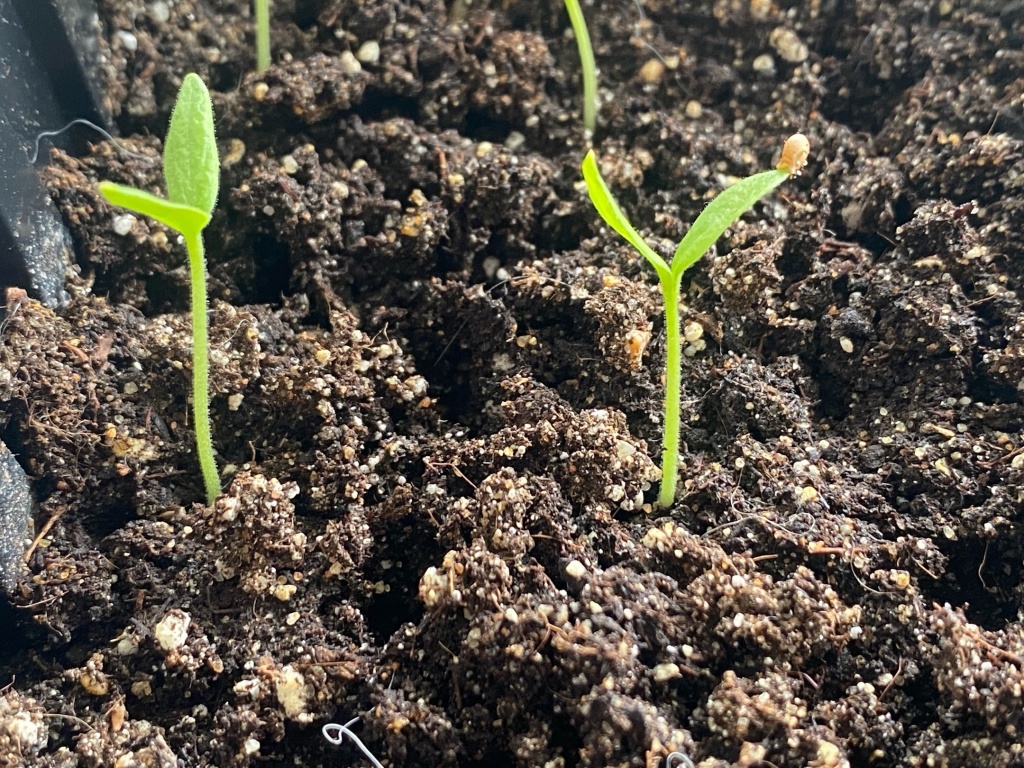 Tdt1OToUhcA.jpg Tdt1OToUhcA.jpg