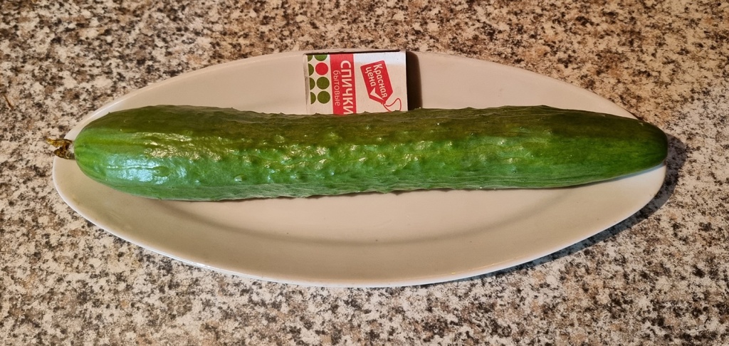 20240812_204059.jpg 20240812_204059.jpg