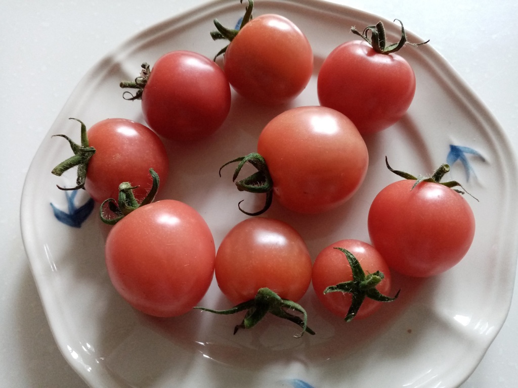 e6Ue8pmj0Wo.jpg e6Ue8pmj0Wo.jpg