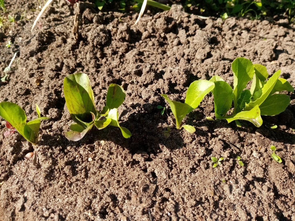 XMiydp7lxxc.jpg XMiydp7lxxc.jpg