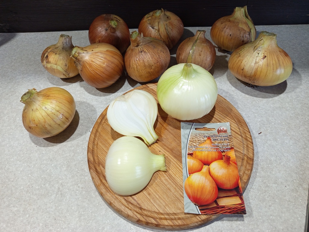 IMG_20250921_180413.jpg IMG_20250921_180413.jpg