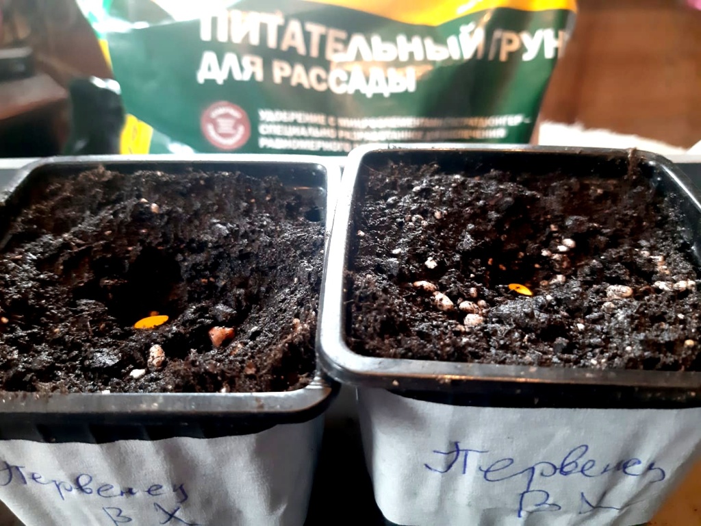 IMG-20241031-WA0017.jpg IMG-20241031-WA0017.jpg