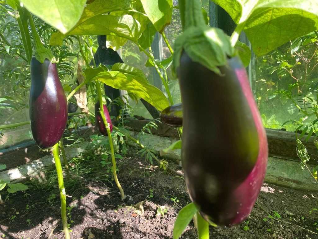 igVbrEqK2jo.jpg igVbrEqK2jo.jpg