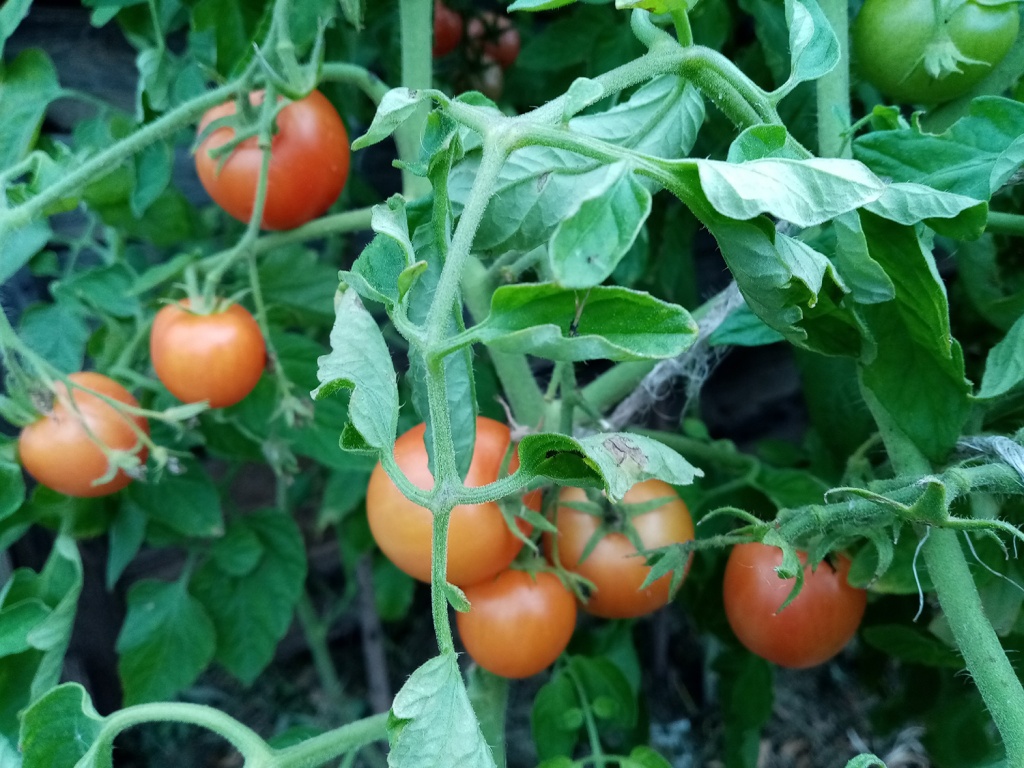 2xADmkEce5U.jpg 2xADmkEce5U.jpg