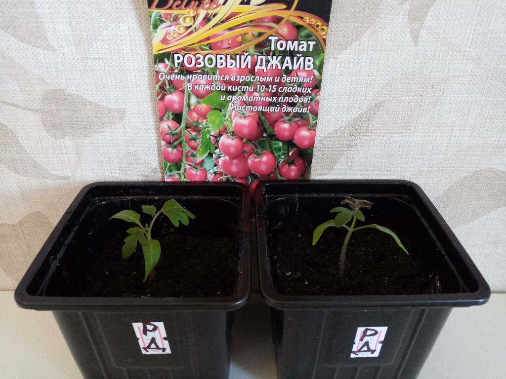 vC_Tk9nR91k.jpg vC_Tk9nR91k.jpg