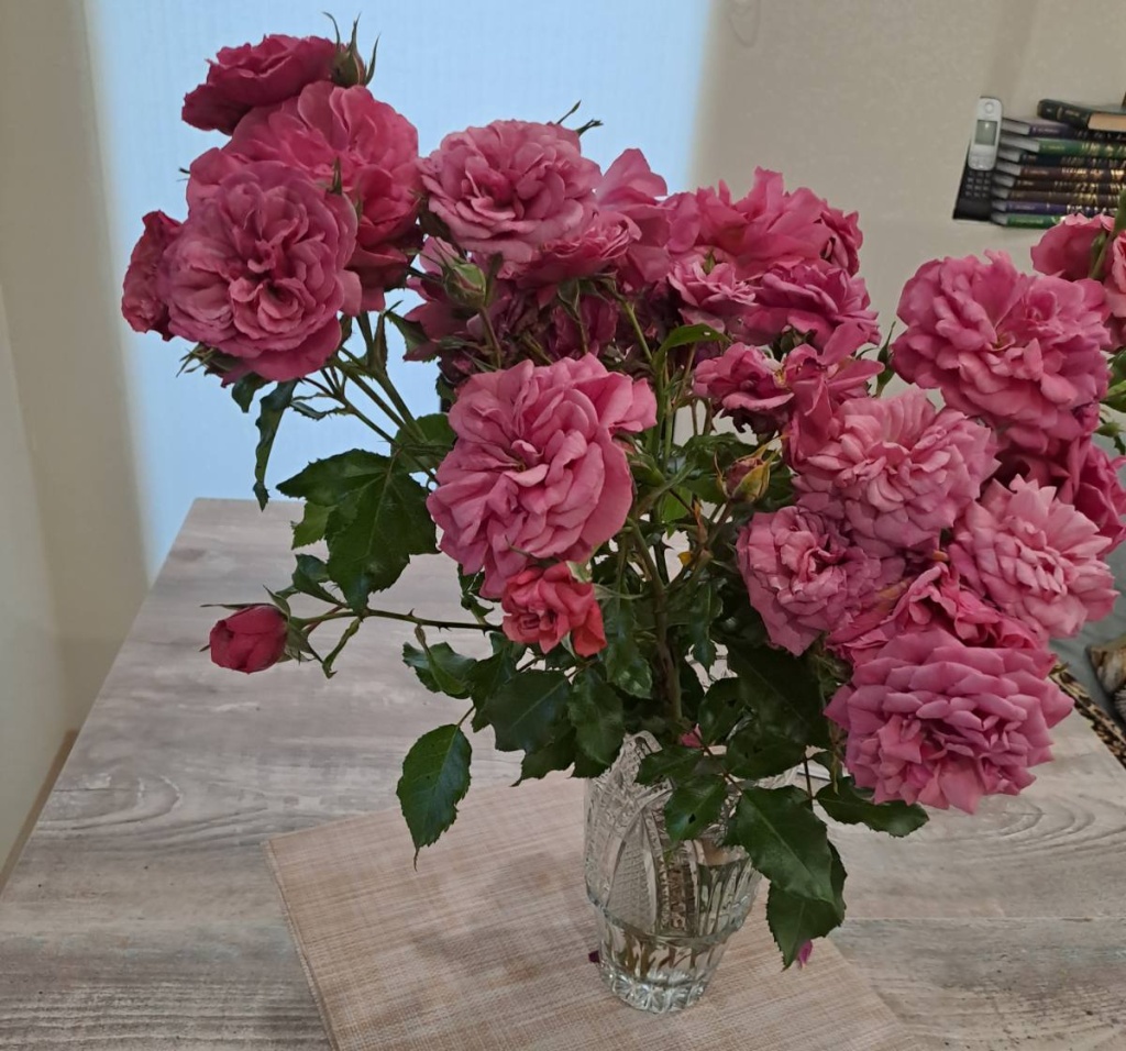 1772700509983.jpg 1772700509983.jpg