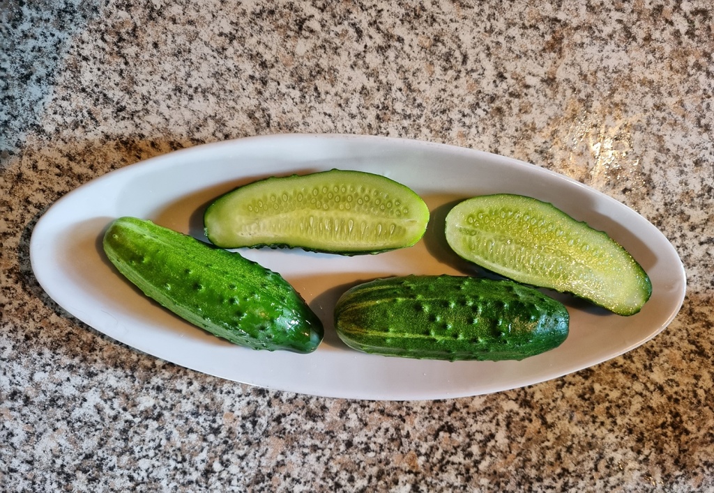 20240714_114358.jpg 20240714_114358.jpg