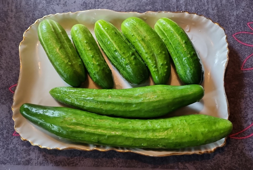 IMG-20240808-WA0007.jpeg IMG-20240808-WA0007.jpeg