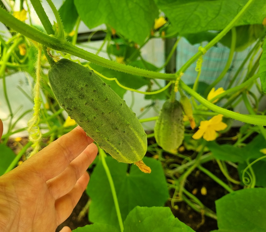 20240714_111413.jpg 20240714_111413.jpg