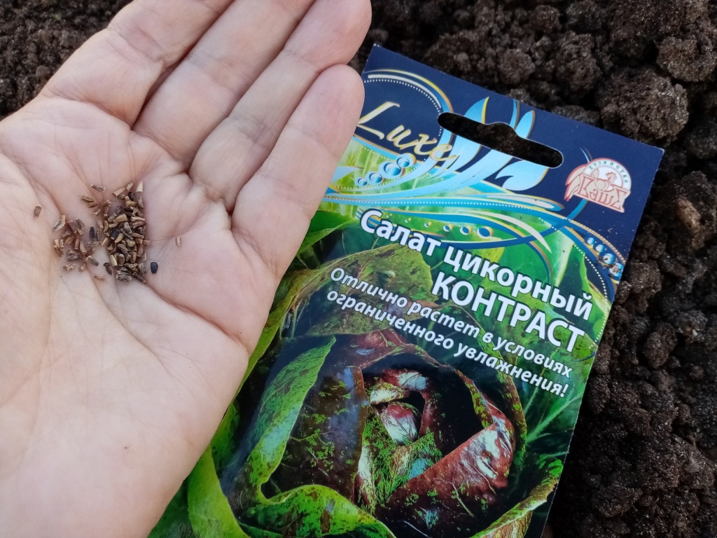 6XOK9NXp4gI.jpg 6XOK9NXp4gI.jpg