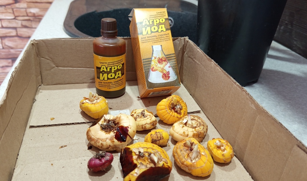 1743914888319шшш.jpg 1743914888319шшш.jpg