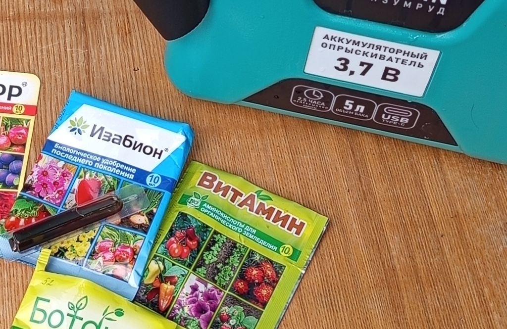 IMG_20250701_075954шшш.jpg IMG_20250701_075954шшш.jpg