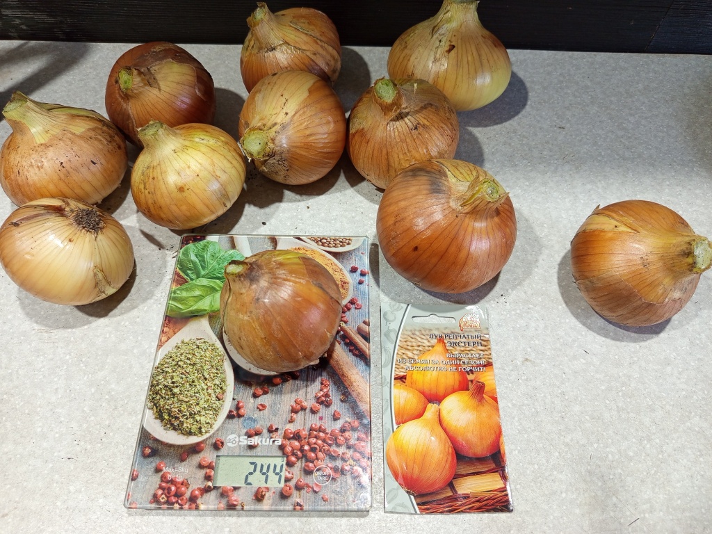 IMG_20250921_175850.jpg IMG_20250921_175850.jpg