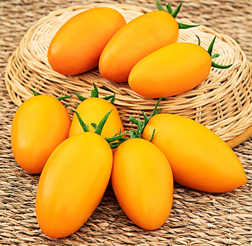 photo_20180809_ovoshi_tomat_zolotoe_runo_.jpg photo_20180809_ovoshi_tomat_zolotoe_runo_.jpg