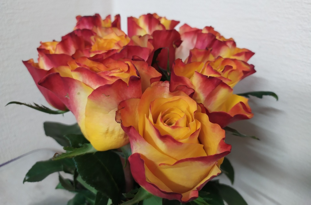 букет3.jpg букет3.jpg