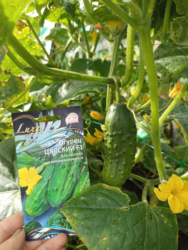 Как будто с картинки.jpg Как будто с картинки.jpg