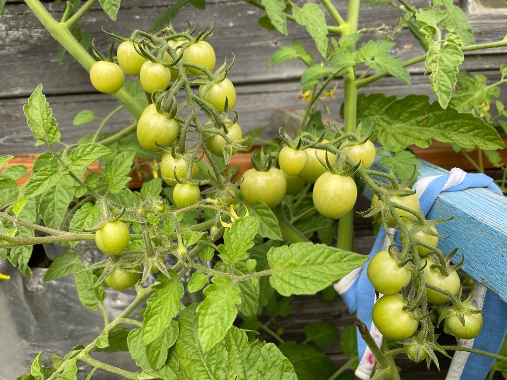 _bqyOk9q3X8.jpg _bqyOk9q3X8.jpg